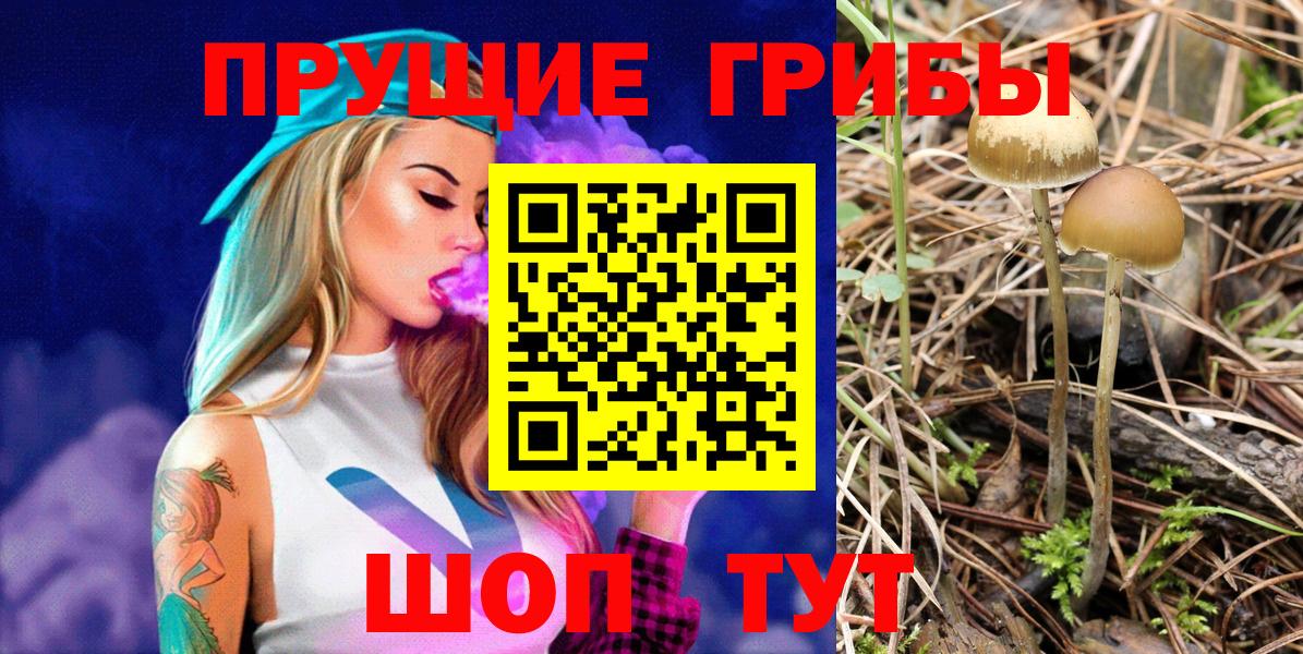 Мелеуз  Галлюциногенные грибы Cubensis  Псилоцибиновые грибы Magic Shrooms  Вход с VPN 